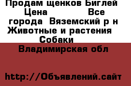 Продам щенков Биглей › Цена ­ 15 000 - Все города, Вяземский р-н Животные и растения » Собаки   . Владимирская обл.